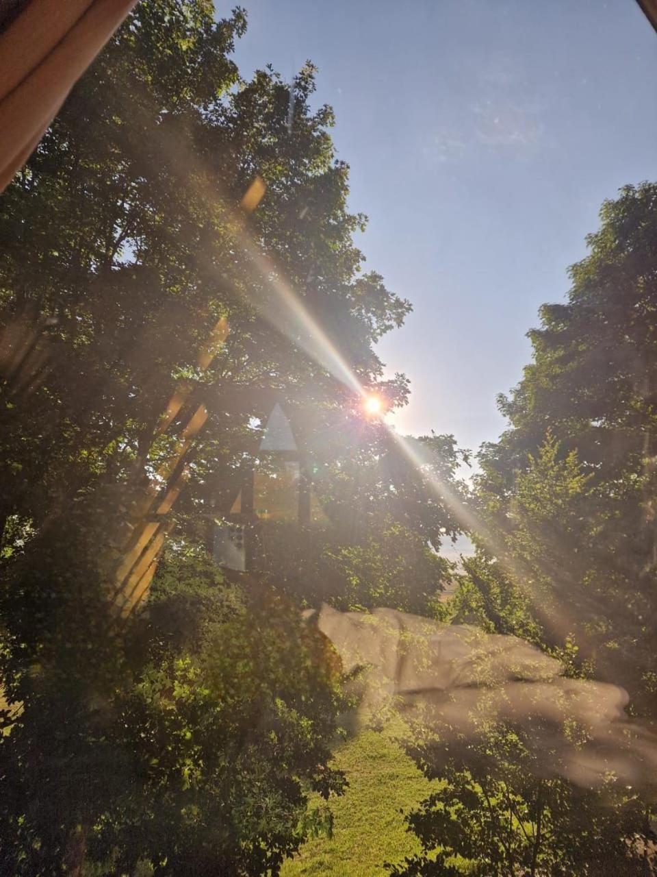 Anovi House Villa Žabljak Dış mekan fotoğraf